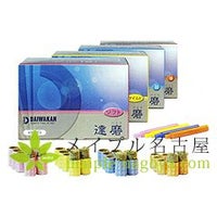 【大和漢】達磨　600壮　10箱まとめ買い特価！