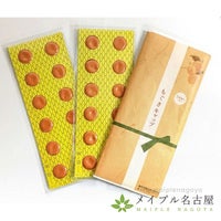 ホットブルーン用　ビワもぐさ　【24枚】