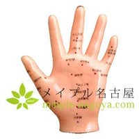手経穴模型