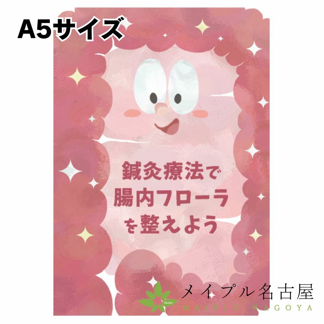 鍼灸ハンドブック 【全種入ったお試しセット】（10冊分）の通販なら