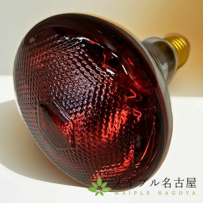 赤球ランプ WarmUp Lamp 300W 【細口】の通販なら5,000点以上の豊富な