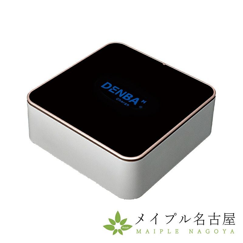 DENBAチャージ