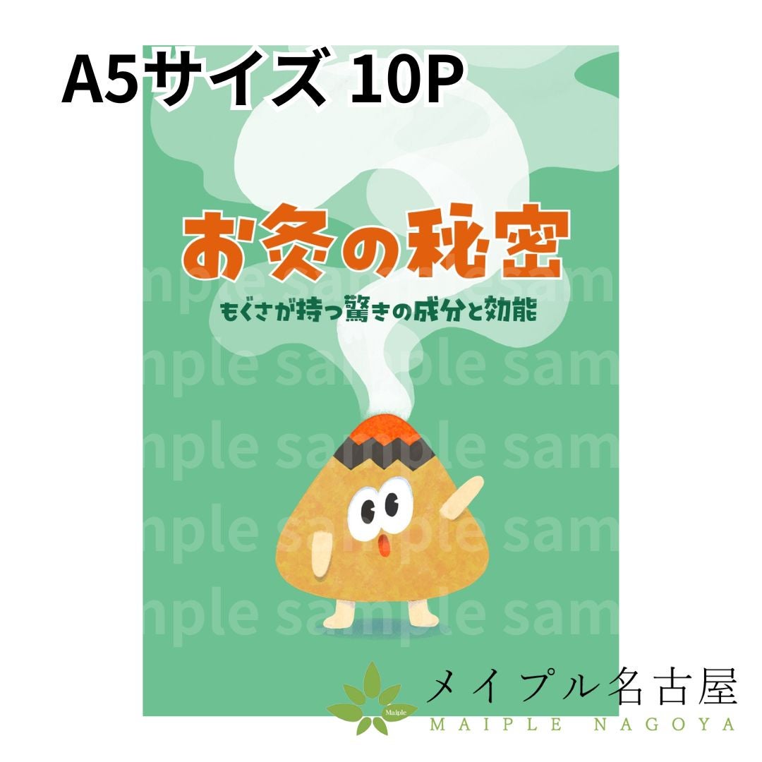 鍼灸教材セット 鍼灸ハンドブック 【お灸の秘密 -もぐさが持つ驚きの成分と効能- 】の